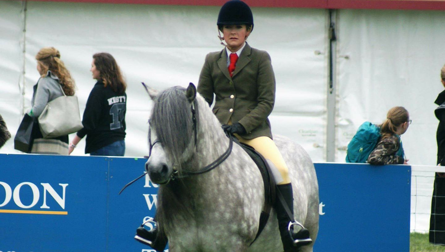 highland pony temperament